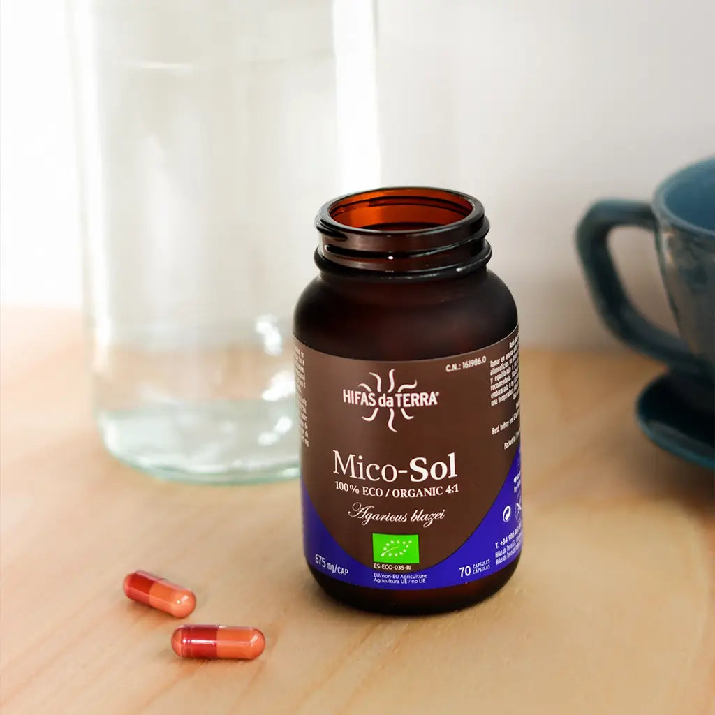 Hifas Da Terra Mico-Sol Sun Mushroom Extract 4