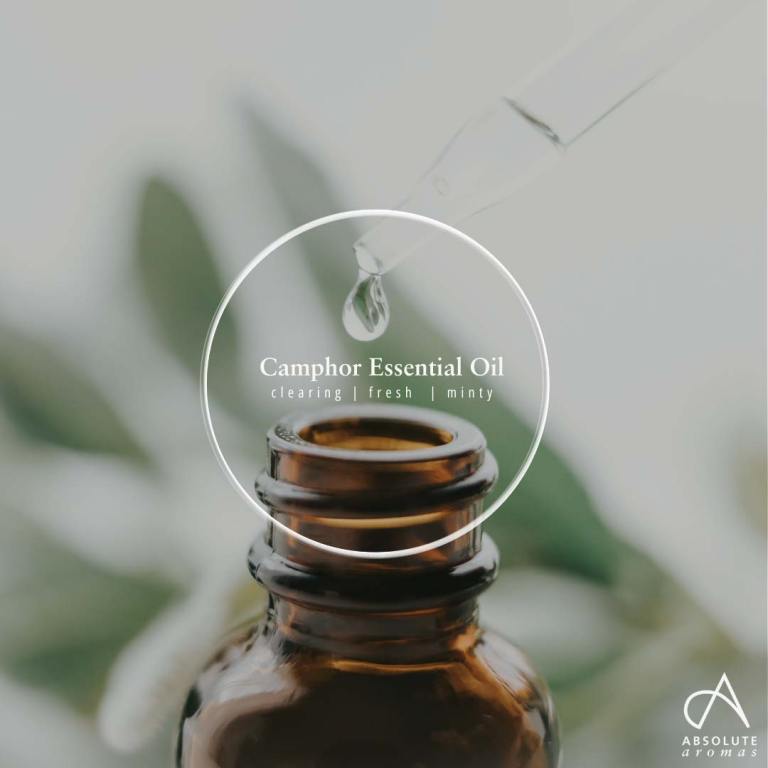 Absolute Aromas Camphor Essential Oil 4