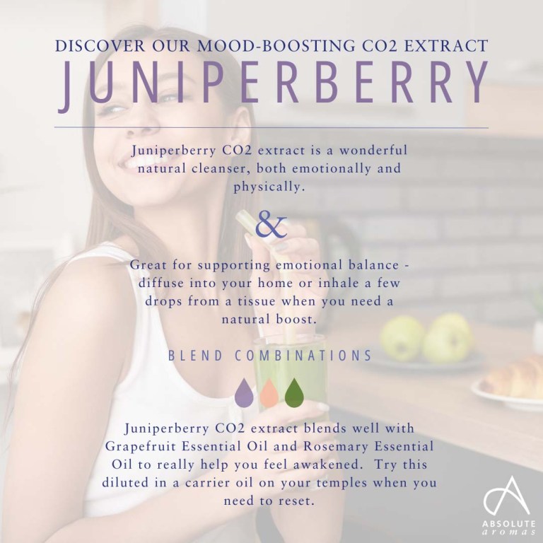 Absolute Aromas Juniperberry CO2 Extract 3