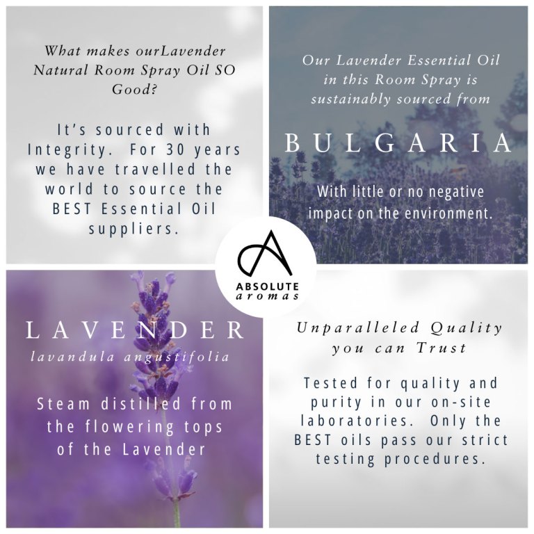 Absolute Aromas Lavender Natural Room Spray 4