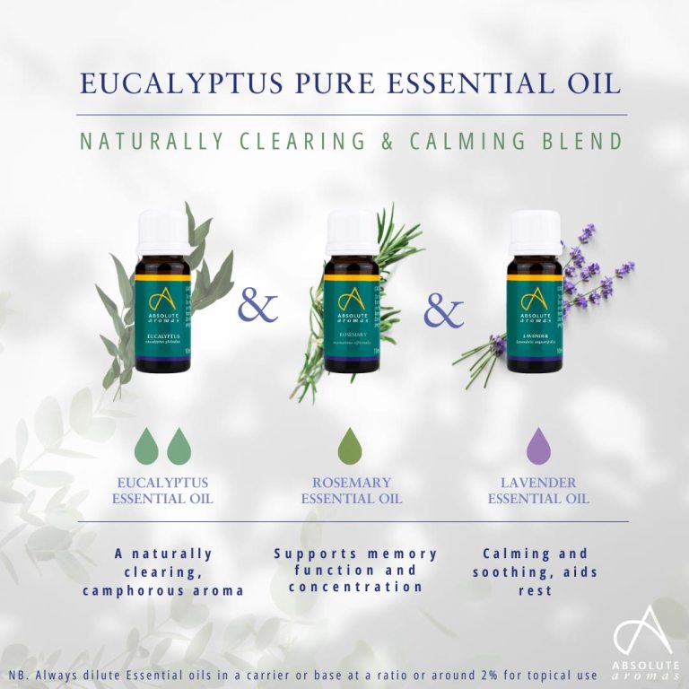 Absolute Aromas Eucalyptus Globulus Essential Oil 4