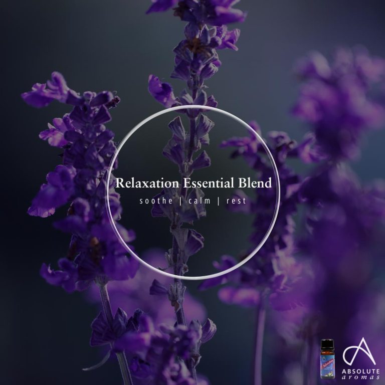 Absolute Aromas Relaxation Essential Blend 6
