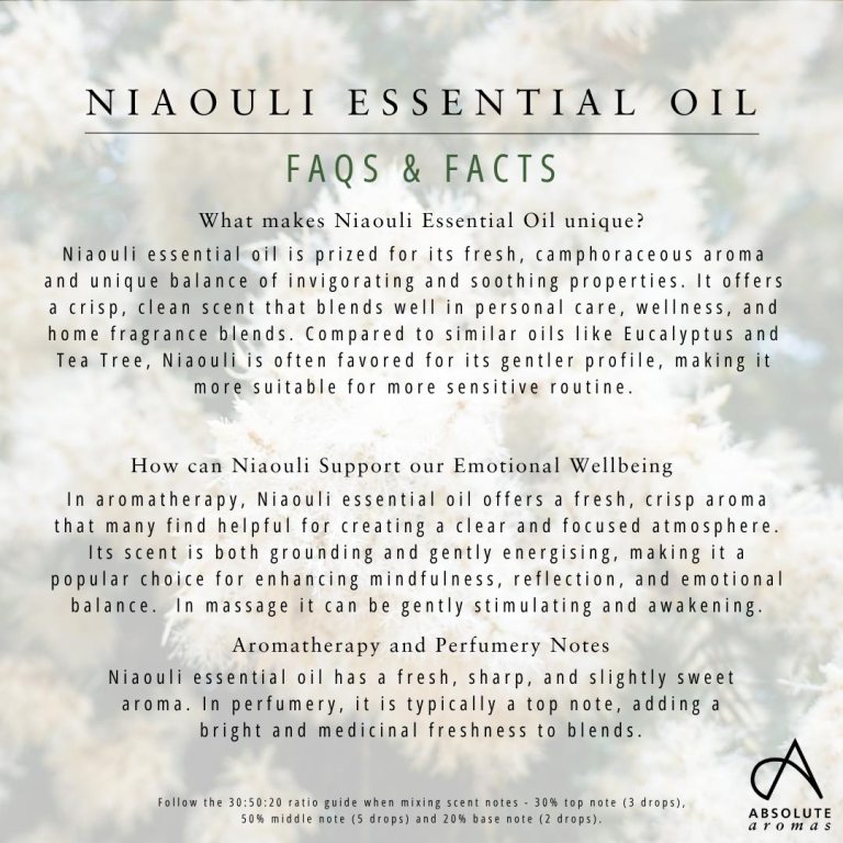 Absolute Aromas Niaouli Essential Oil 5