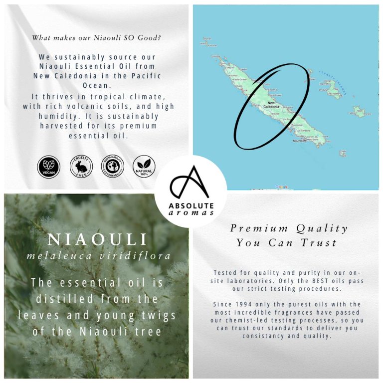 Absolute Aromas Niaouli Essential Oil 4