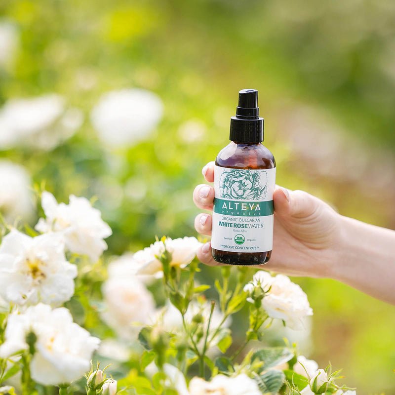 Alteya Organics Organic Bulgarian White Rose Water (Rosa Alba) 120 ml - Amber Glass Spray Bottle 3