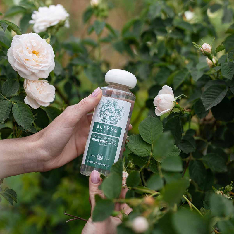 Alteya Organics Organic Bulgarian White Rose Water (Rosa Alba) 250 ml