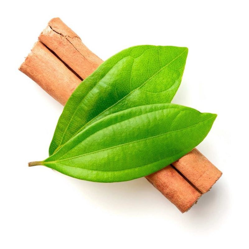 Alteya Organics Certified Organic Cinnamon Leaf Oil 4