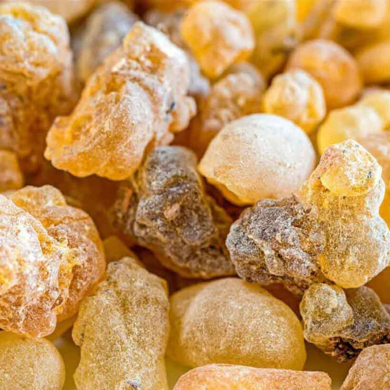 Alteya Organics Certified Organic Frankincense Carterii Oil 4