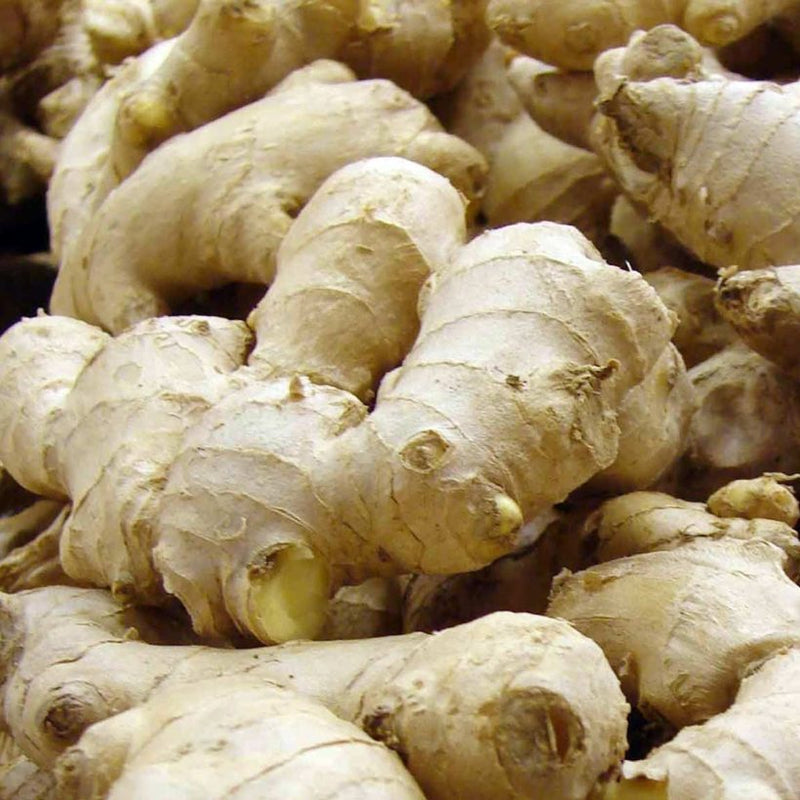 Alteya Organics Certified Organic Ginger Oil 4
