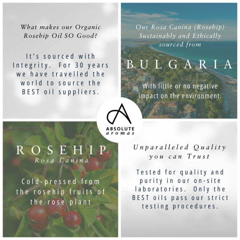 Absolute Aromas Organic Rosehip 6