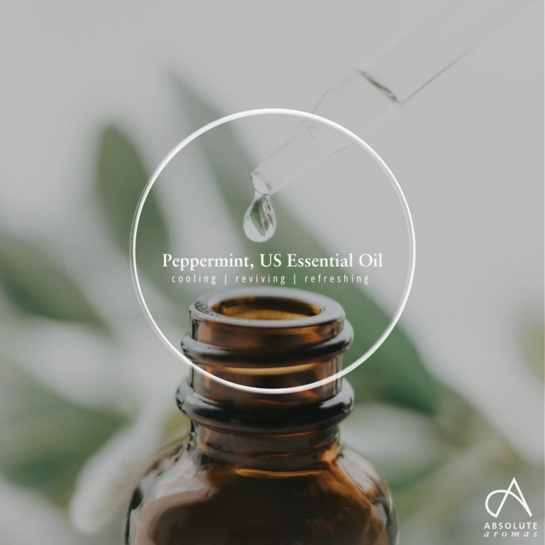 Absolute Aromas Peppermint (US) Essential Oil 5
