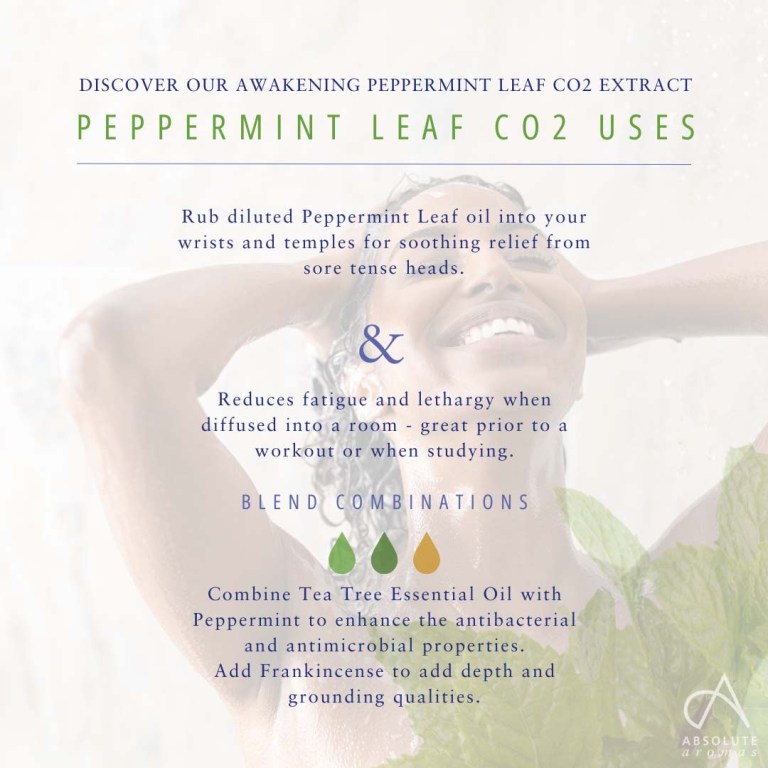 Absolute Aromas Peppermint Leaf CO2 Extract