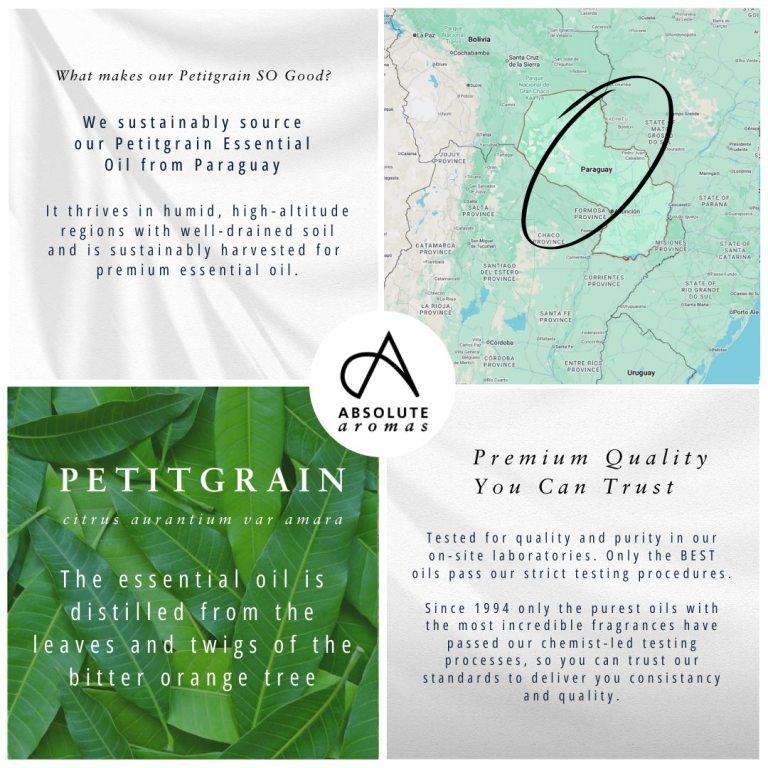 Absolute Aromas Petitgrain Essential Oil 4