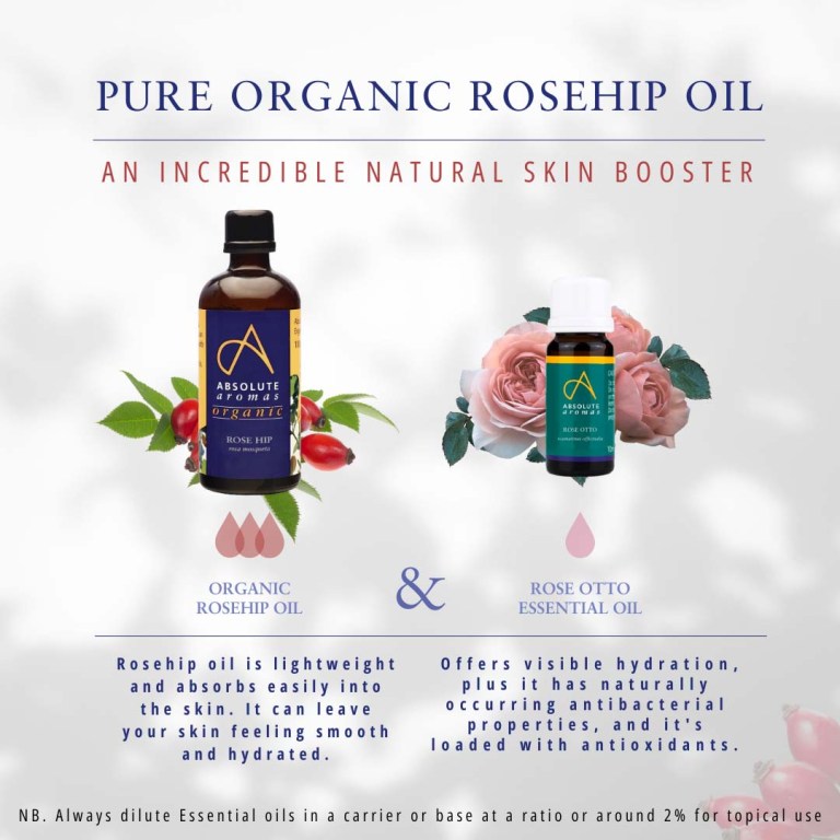 Absolute Aromas Organic Rosehip 3