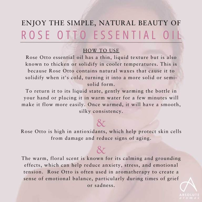 Absolute Aromas Rose Otto Essential Oil 5