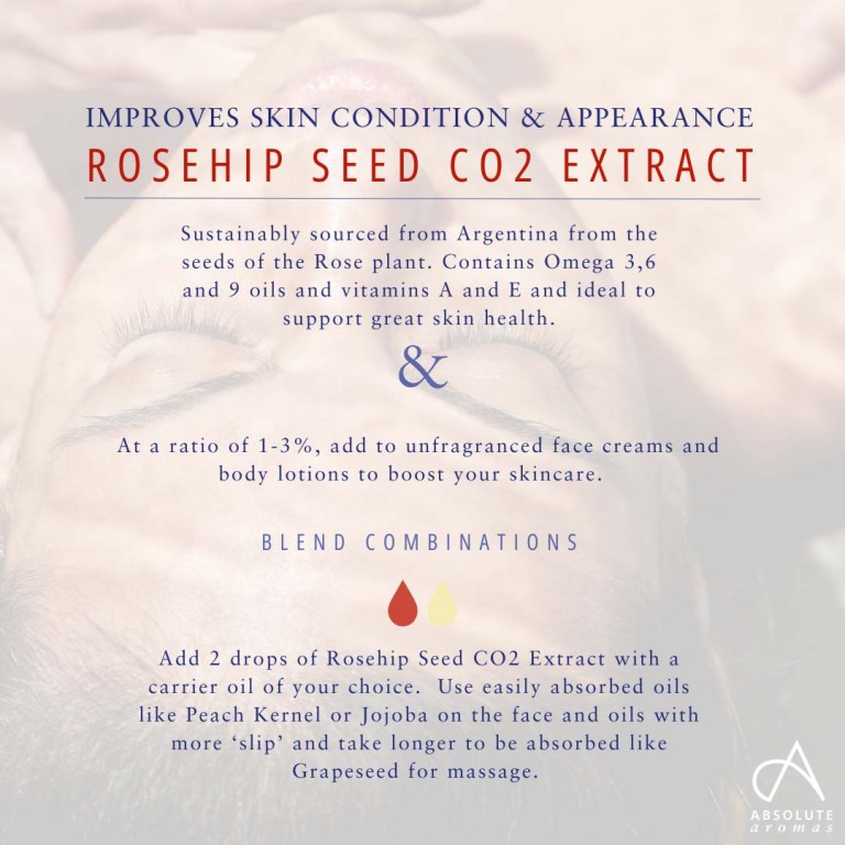 Absolute Aromas Rosehip Seed CO2 Extract 3
