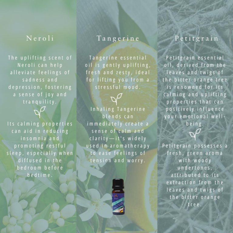 Absolute Aromas Soothe Essential Blend 5