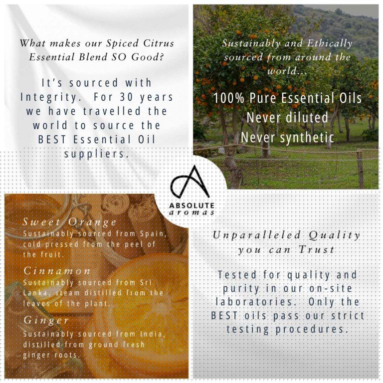 Absolute Aromas Spiced Citrus Aromatherapy Blend 4