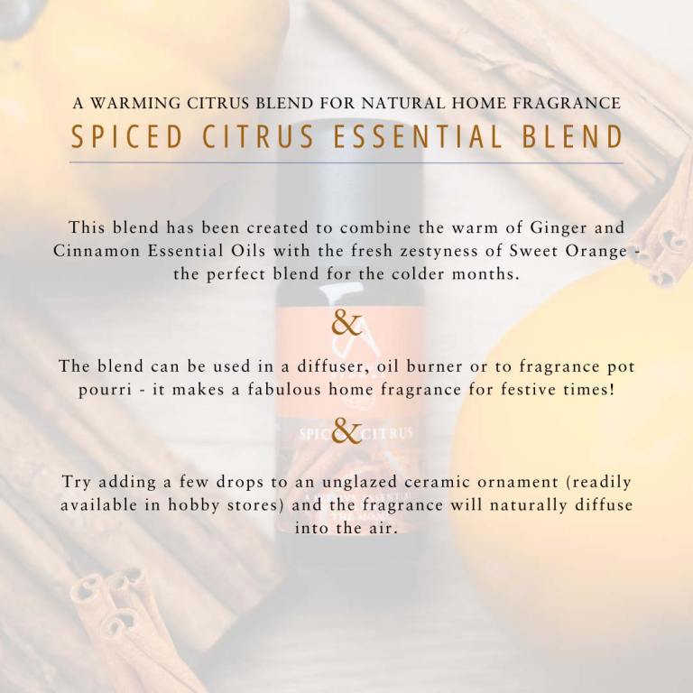 Absolute Aromas Spiced Citrus Aromatherapy Blend 6