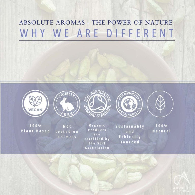 Absolute Aromas Cardamom CO2 Extract 4
