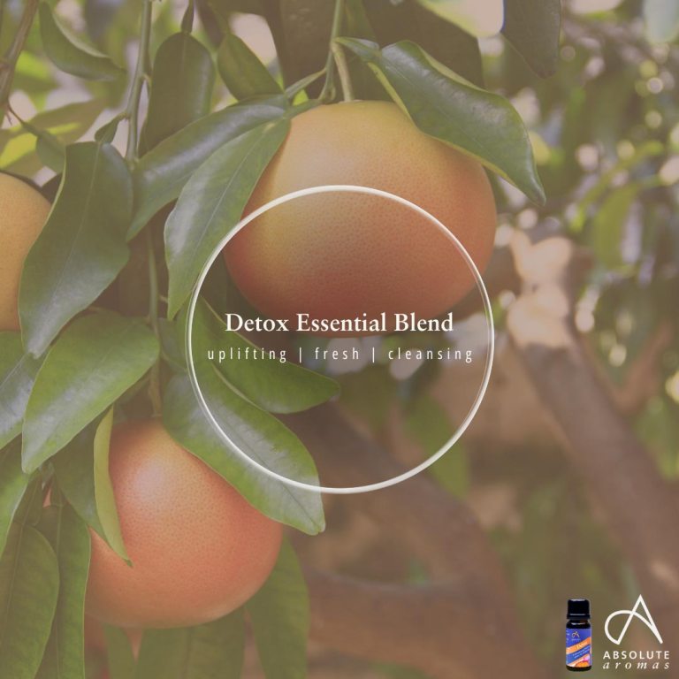 Absolute Aromas Detox Essential Blend 6