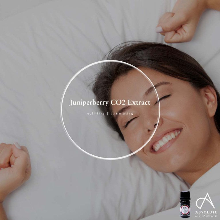 Absolute Aromas Juniperberry CO2 Extract 5