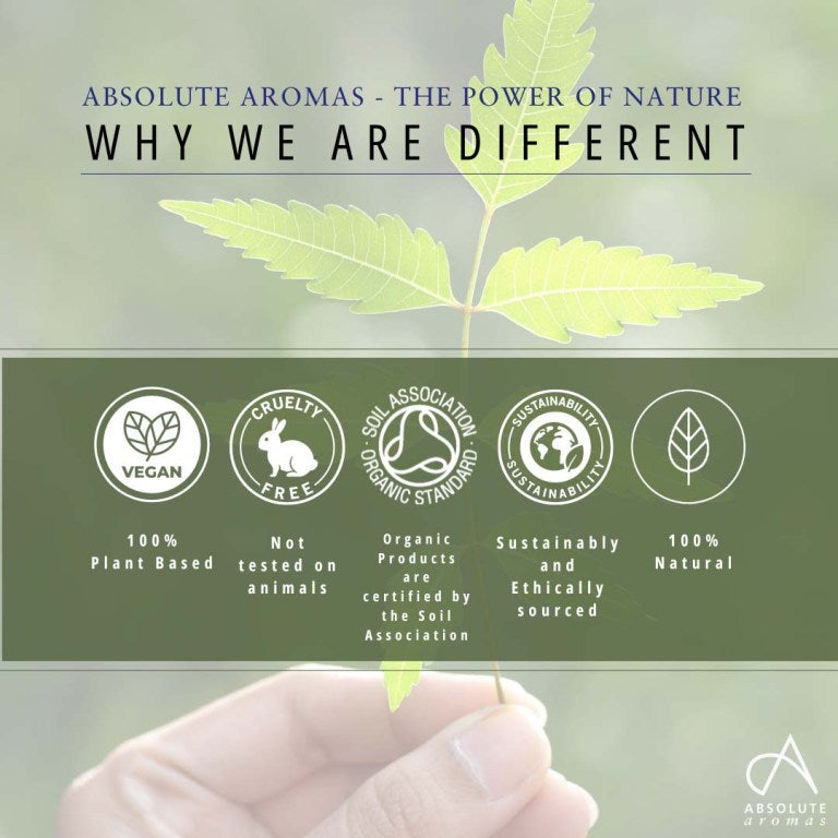 Absolute Aromas Organic Nail & Cuticle Oil 4