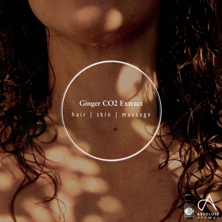 Absolute Aromas Ginger CO2 Extract 6