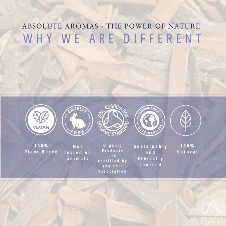 Absolute Aromas Cinnamon Bark Co2 Extract 4