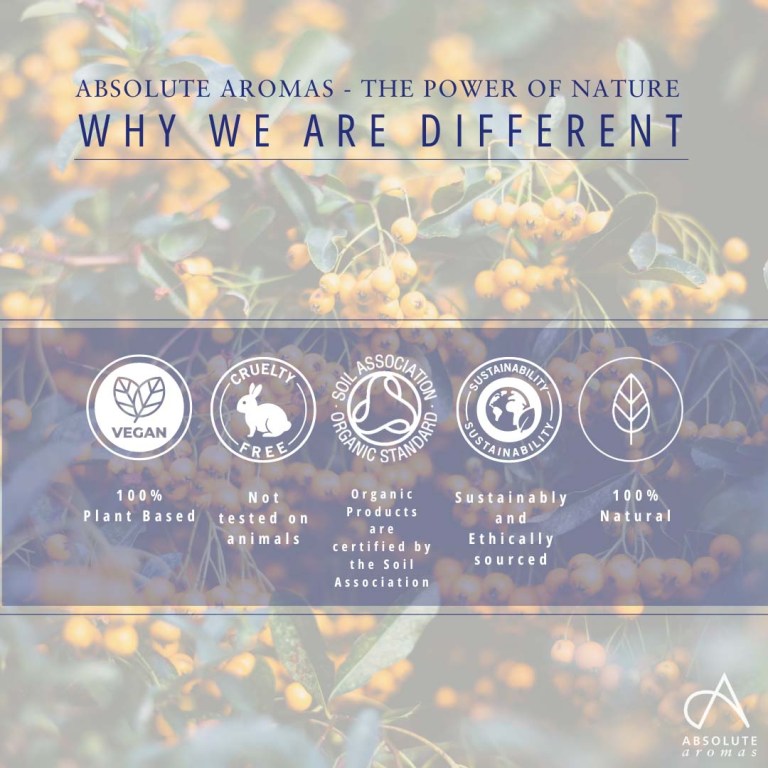 Absolute Aromas Sea Buckthorn CO2 Extract 4