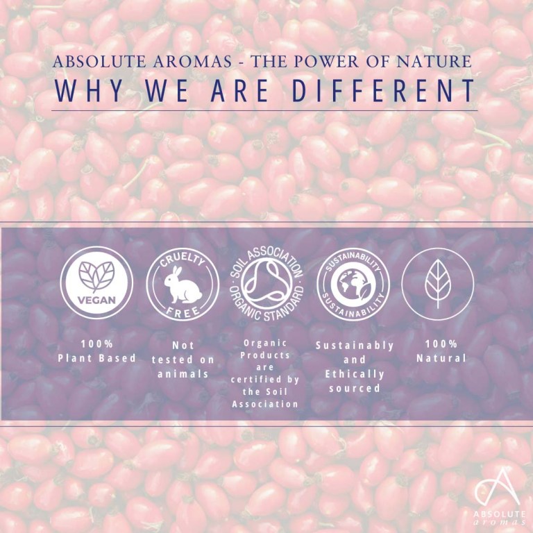Absolute Aromas Rosehip Seed CO2 Extract 5