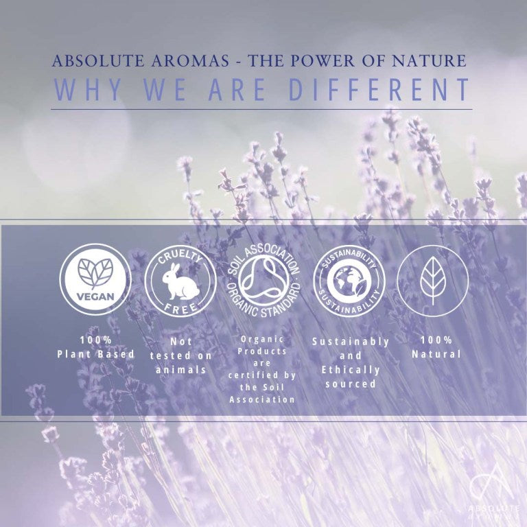 Absolute Aromas Lavender CO2 Extract 5