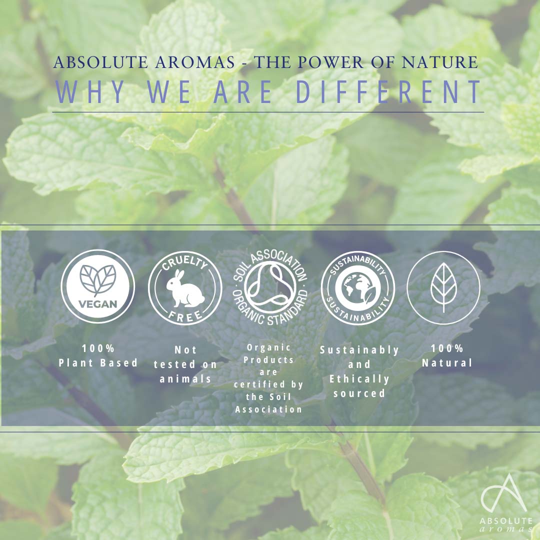 Absolute Aromas Peppermint Leaf CO2 Extract 4