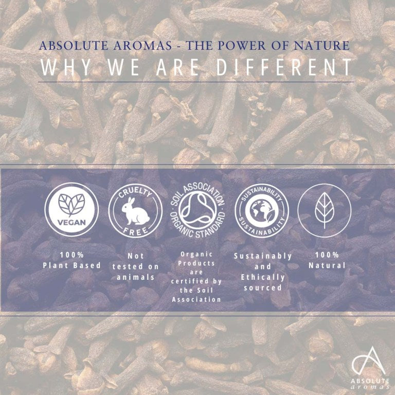 Absolute Aromas Clove Bud CO2 Extract 4