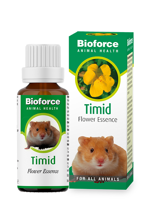 A.Vogel Timid Essence image 0