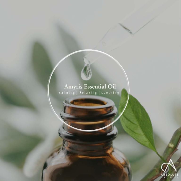 Absolute Aromas Amyris Essential Oil 6