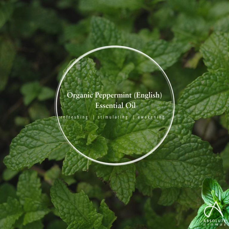 Absolute Aromas Organic Peppermint Essential Oil (English) 7