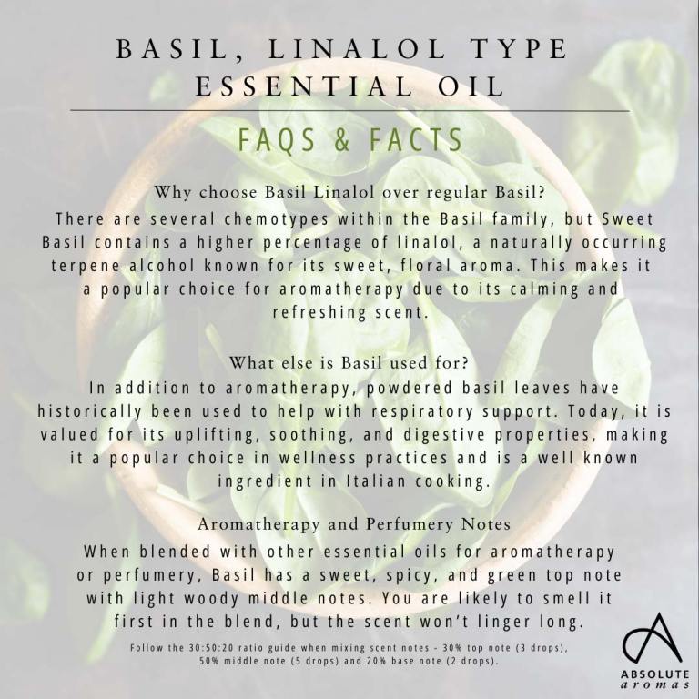 Absolute Aromas Basil, Linalol Type Essential Oil 4