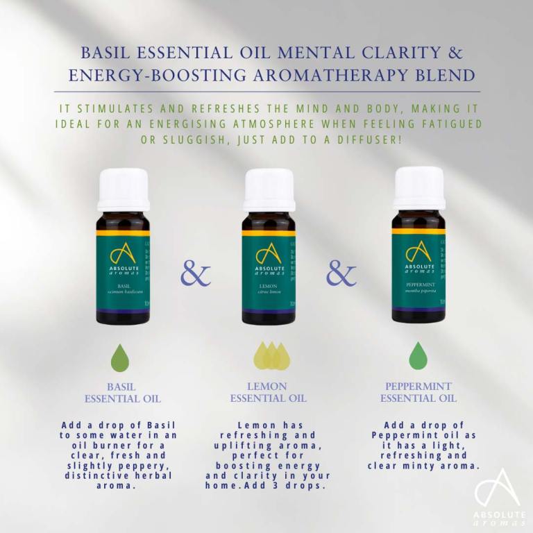 Absolute Aromas Basil, Linalol Type Essential Oil 3