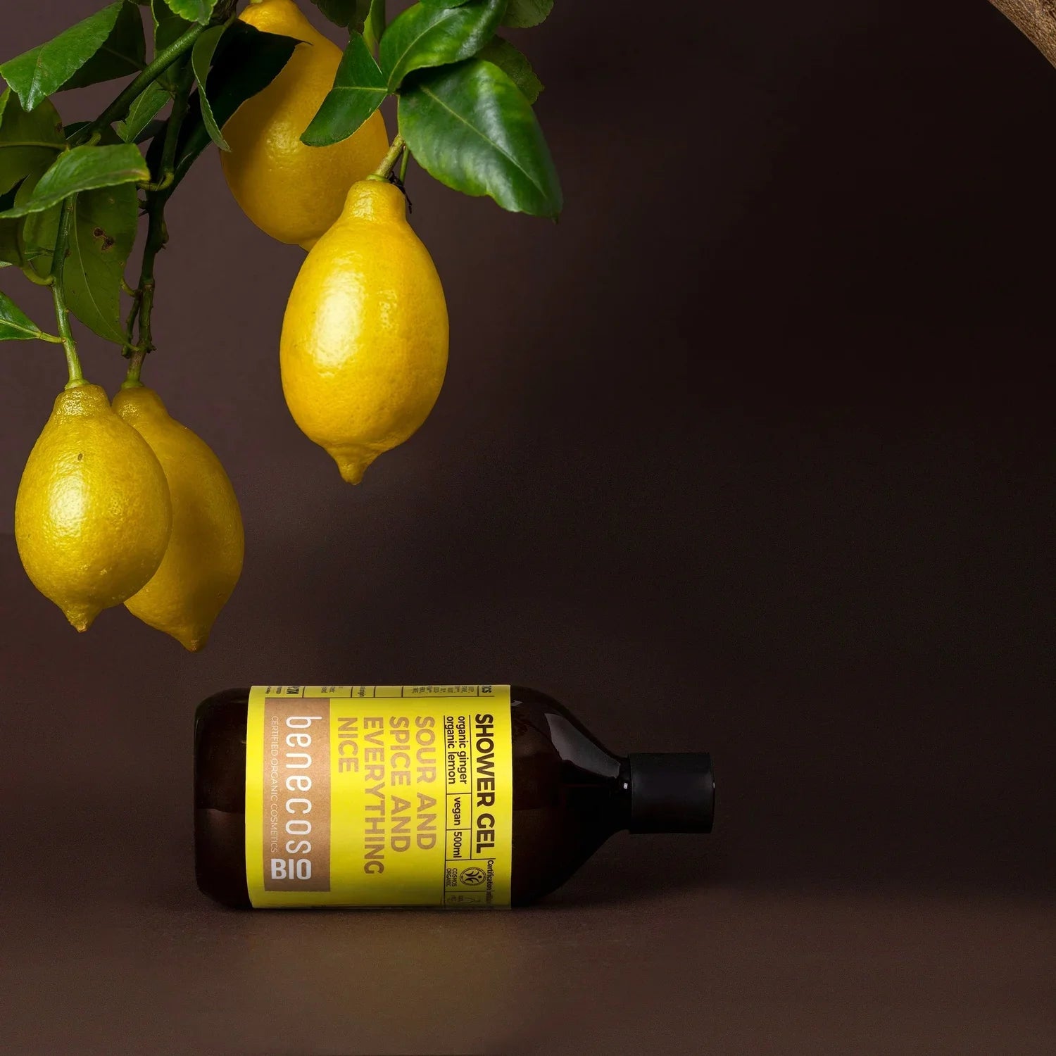 Benecos Ginger and Lemon Shower Gel