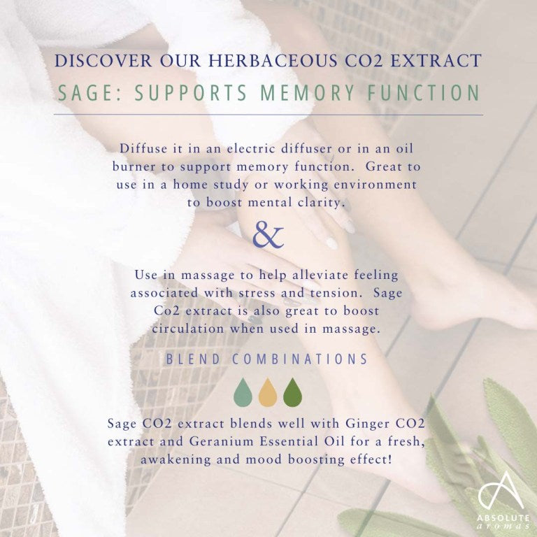 Absolute Aromas Sage CO2 Extract