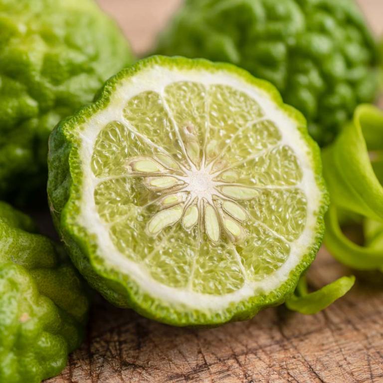 Absolute Aromas Organic Bergamot FCF