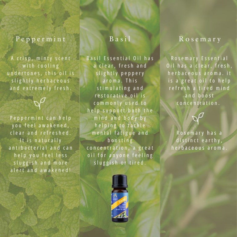 Absolute Aromas Focus Essential Blend 6