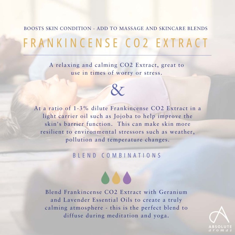 Absolute Aromas Frankincense CO2 Extract