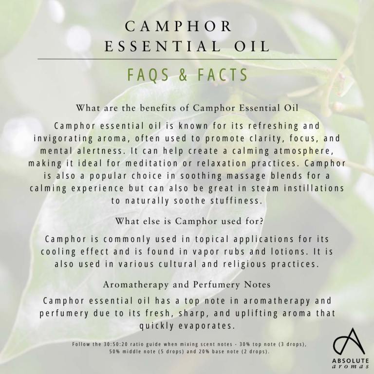 Absolute Aromas Camphor Essential Oil 3