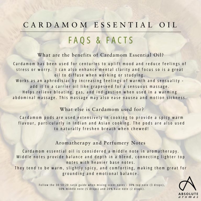 Absolute Aromas Cardamom Essential Oil 6