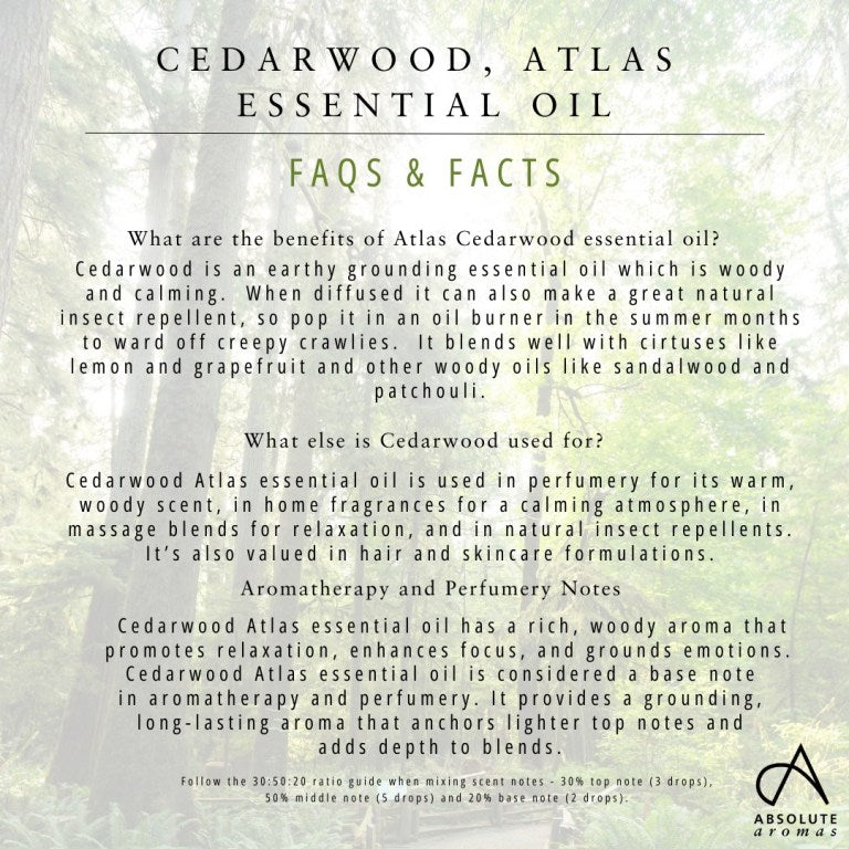 Absolute Aromas Cedarwood, Atlas Essential Oil 5