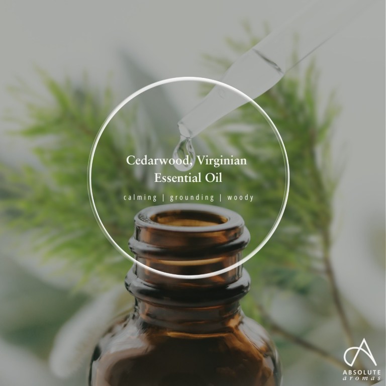Absolute Aromas Cedarwood, Virginian Essential Oil 6