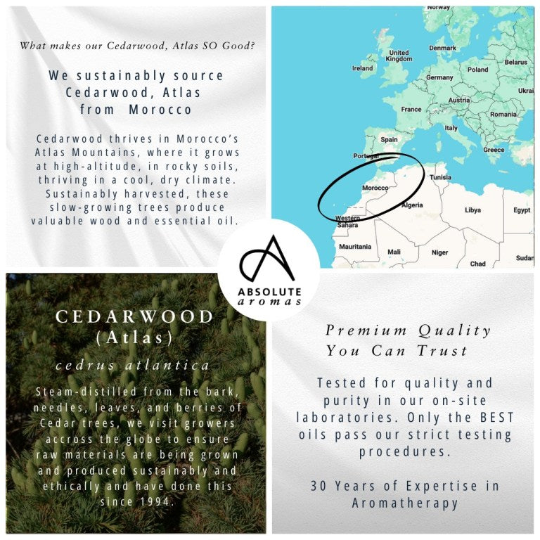 Absolute Aromas Cedarwood, Atlas Essential Oil 3