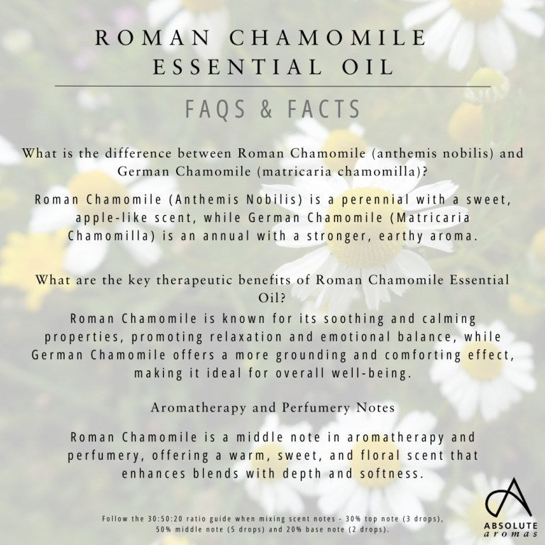 Absolute Aromas Chamomile Essential Oil (Roman) 5